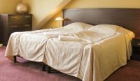 Przestronny Pokój w Hotelu Monet